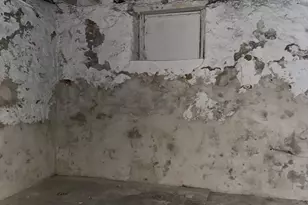 2539 S 58th St, Philadelphia, PA 19143 - Photo 13