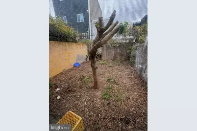 1933 E Albert Street, Philadelphia, PA 19125 - Photo 15