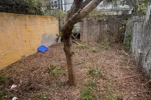 1933 E Albert St, Philadelphia, PA 19125 - Photo 15