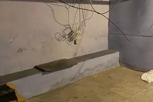 1115 Wagner Ave, Philadelphia, PA 19141 - Photo 27