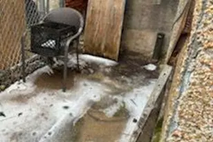 2470 Emerald St, Philadelphia, PA 19125 - Photo 13