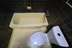 8602 Rugby St, Philadelphia, PA 19150 - Photo 43