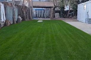 6120 Tulip St, Philadelphia, PA 19135 - Photo 5