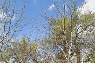 2352 N 19th St, Philadelphia, PA 19132 - Photo 1