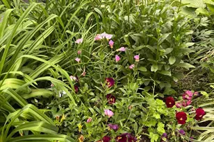 1627-29 W Stiles St, Philadelphia, PA 19121 - Photo 31