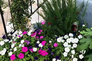 1627-29 W Stiles St, Philadelphia, PA 19121 - Photo 23