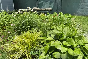 1627-29 W Stiles St, Philadelphia, PA 19121 - Photo 29