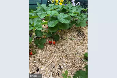 1627-29 W Stiles Street, Philadelphia, PA 19121 - Photo 43