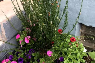 1627-29 W Stiles St, Philadelphia, PA 19121 - Photo 35