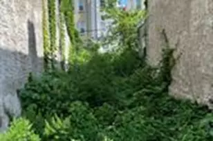 3127 Fontain St, Philadelphia, PA 19121 - Photo 3