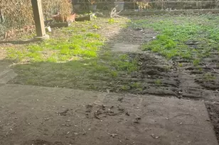 7814 Saturn Pl, Philadelphia, PA 19153 - Photo 43