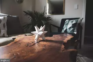 4537 Wayne Ave, Philadelphia, PA 19144 - Photo 13