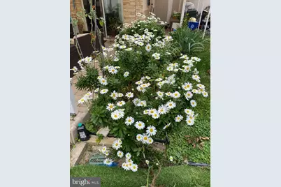 813 Piermont Street, Philadelphia, PA 19116 - Photo 35