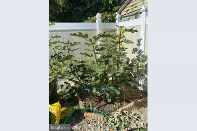 813 Piermont Street, Philadelphia, PA 19116 - Photo 33