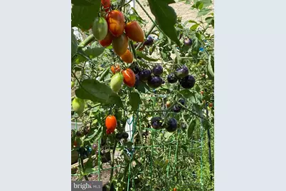 813 Piermont Street, Philadelphia, PA 19116 - Photo 39