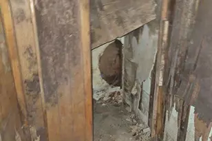 401 Kerper St, Philadelphia, PA 19111 - Photo 33