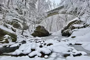 632 W Naomi St, Philadelphia, PA 19144 - Photo 49