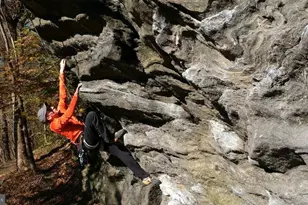 632 W Naomi St, Philadelphia, PA 19144 - Photo 51