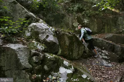 632 W Naomi Street, Philadelphia, PA 19144 - Photo 53