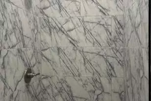 5812 Willows Ave, Philadelphia, PA 19143 - Photo 25