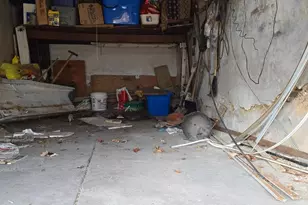 2204 E Washington Ln, Philadelphia, PA 19138 - Photo 27