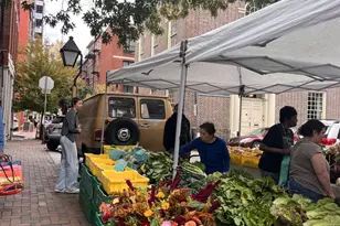 217 Church St, Philadelphia, PA 19106 - Photo 15