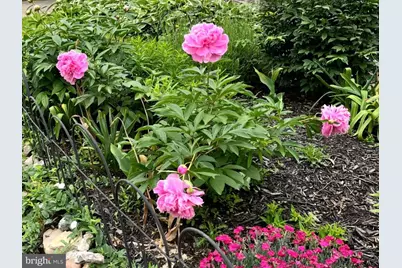 1626 Conlyn Street, Philadelphia, PA 19141 - Photo 35