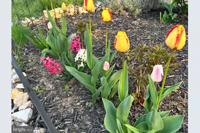 1626 Conlyn Street, Philadelphia, PA 19141 - Photo 33