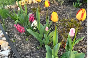 1626 Conlyn St, Philadelphia, PA 19141 - Photo 33