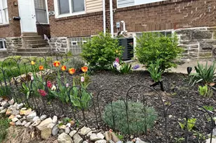 1626 Conlyn St, Philadelphia, PA 19141 - Photo 31