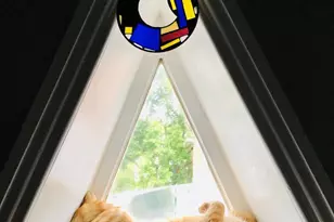 235 W Winona St, Philadelphia, PA 19144 - Photo 35