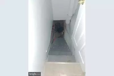 5720 Leonard Street, Philadelphia, PA 19149 - Photo 51