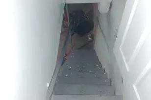 5720 Leonard St, Philadelphia, PA 19149 - Photo 51