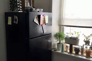 355 Lyceum Ave, Philadelphia, PA 19128 - Photo 17