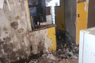 251 E Haines St, Philadelphia, PA 19144 - Photo 5