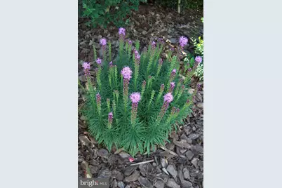 9204 Burbank Road, Philadelphia, PA 19115 - Photo 27