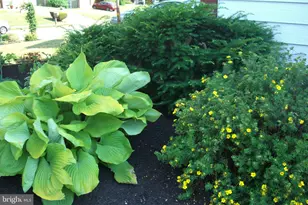 9204 Burbank Rd, Philadelphia, PA 19115 - Photo 37