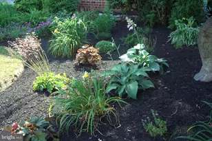 9204 Burbank Rd, Philadelphia, PA 19115 - Photo 31