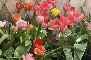 422 S Camac St, Philadelphia, PA 19147 - Photo 9