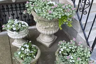 230 Morris St, Philadelphia, PA 19148 - Photo 5