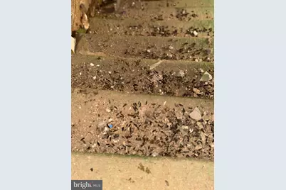 2070 E Pacific Street, Philadelphia, PA 19134 - Photo 9