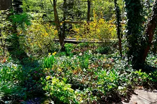 628 W Hortter St, Philadelphia, PA 19119 - Photo 11