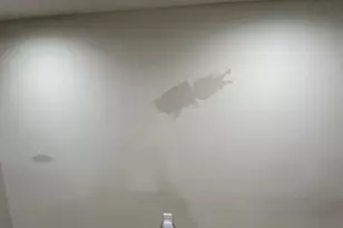 1416 N Dover St, Philadelphia, PA 19121 - Photo 5