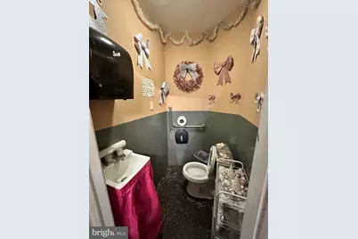 1052 Roy Street, Philadelphia, PA 19140 - Photo 13