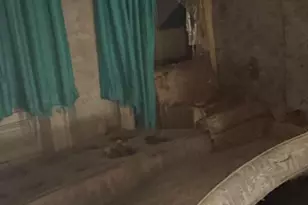 1431 N 18th St, Philadelphia, PA 19121 - Photo 11