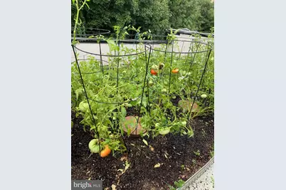 4588 Silverwood Street, Philadelphia, PA 19127 - Photo 27