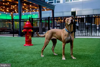 1900 Arch Street #510, Philadelphia, PA 19103 - Photo 19