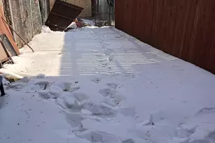 2079 E Hagert St, Philadelphia, PA 19125 - Photo 13