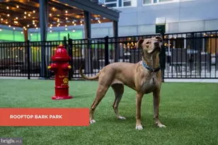 139 N 23rd St, Philadelphia, PA 19103 - Photo 15