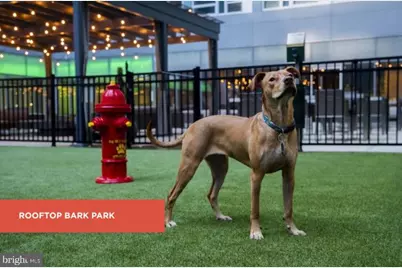 139 N 23rd Street #320, Philadelphia, PA 19103 - Photo 11